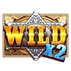 wild west gold 2