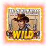 wild west zone wild symbol
