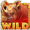 wild wild rage wild symbol