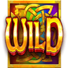 wild wild riches megaways wild symbol