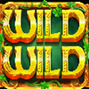wild wild riches returns wild symbol