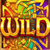 wild wild riches wild symbol