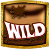 willy wonka dream factory wild 2 symbol