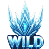winter empress wild 2 symbol