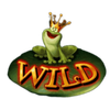 wish upon a jackpot wild symbol