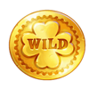 wishing wheel wild symbol