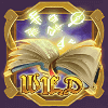 witches tome wild symbol