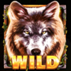 wolf fang eclipse wild symbol