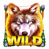 wolf fang spring awakening wild symbol