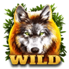 wolf fang wild symbol