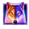 wolf gold 4 pack wild symbol
