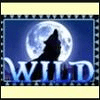 wolf moon wild symbol