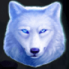 wolf saga wild symbol