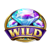 wonder reels wild symbol