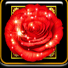 wonder rose wild symbol