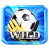 world football fortunes wild symbol