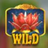 wuxia princess wild symbol