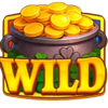 x1000 golden penny super wheel wild symbol