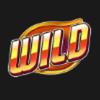 x wild slots wild symbol