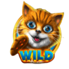 xiao mi mi wild symbol