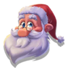 xmas drop wild symbol