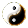 yin yang wild symbol