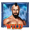zentaurus hurricane wild symbol