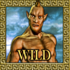 zentaurus power spins wild symbol