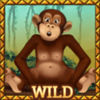 zimba and friends wild symbol