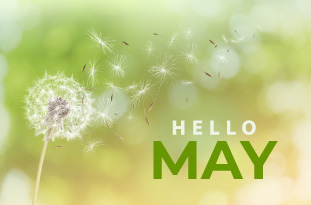 Upcoming Slot Releases for May 2023