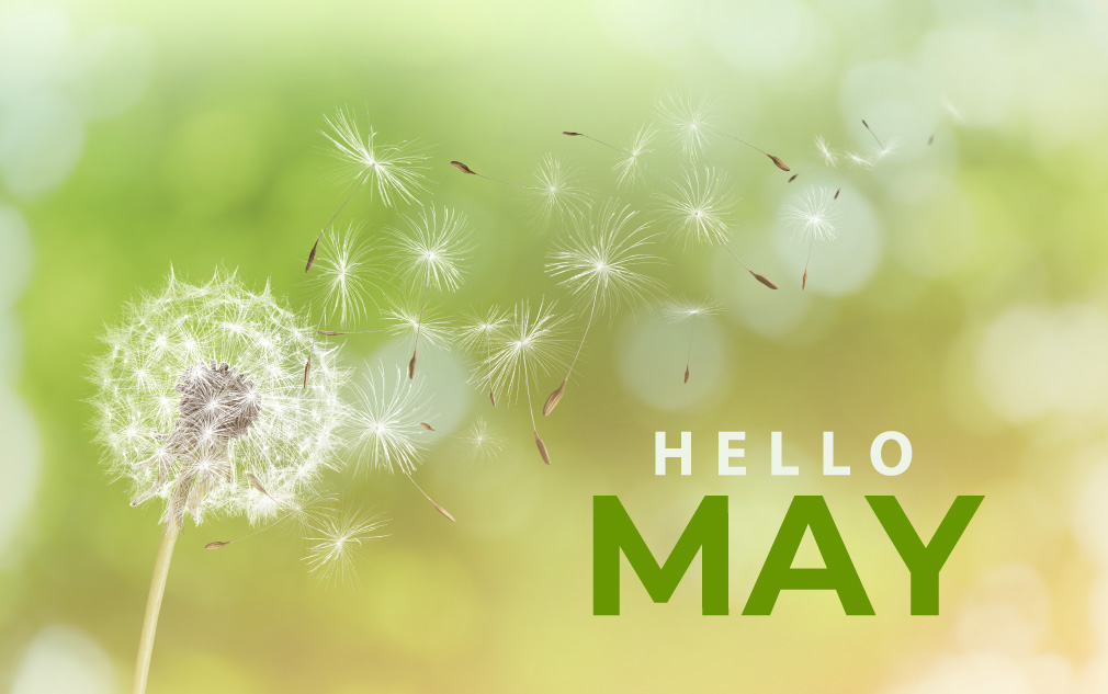 Upcoming Slot Releases for May 2023
