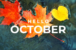 Upcoming Slot Releases for October 2023