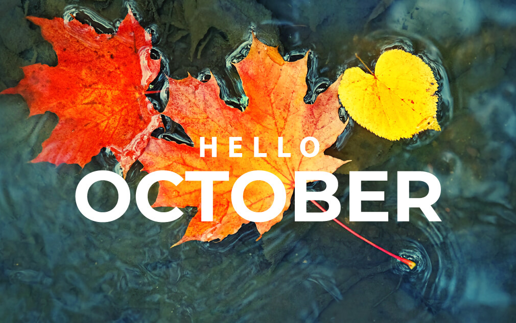 Upcoming Slot Releases for October 2023