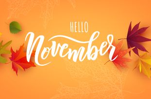 Upcoming Slot Releases for November 2020