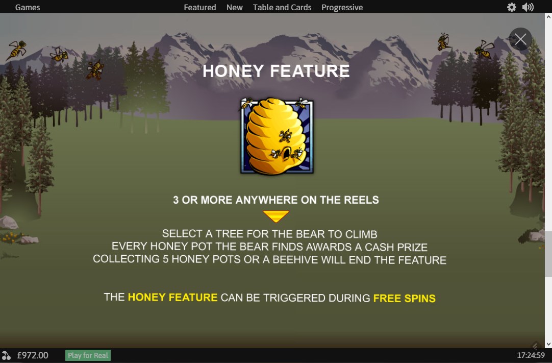 Playtech Bonus Bears gameplay slot review scatter symbol payout wild bonus features