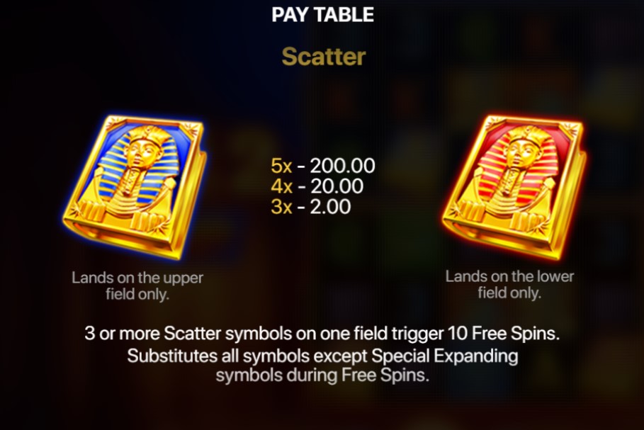 How to Play the Book of Gold 2 Double Hit Slot Game