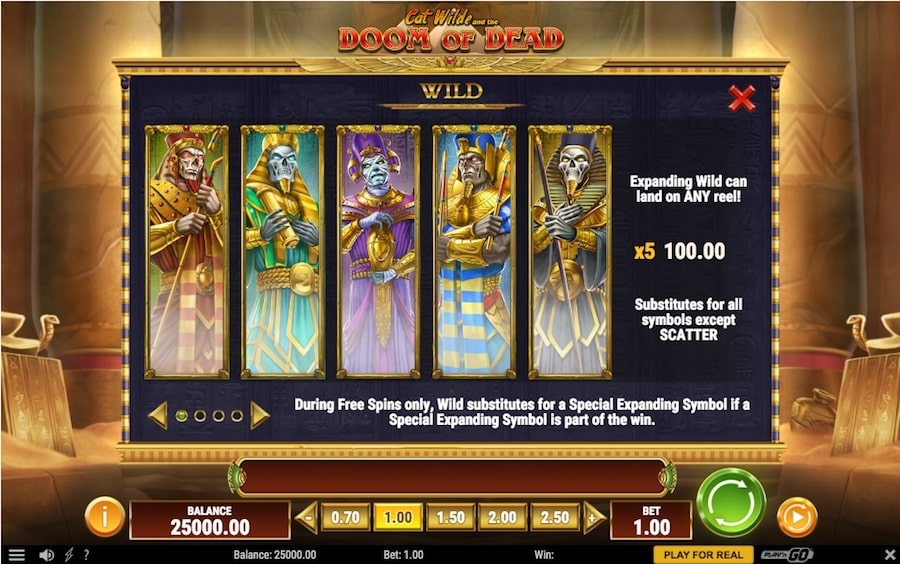 Play_N_Go_Cat_Wilde_and_ the_ Doom_of_Dead_SLOT_BONUS_FEATURES