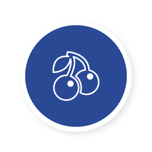 Slot Symbol