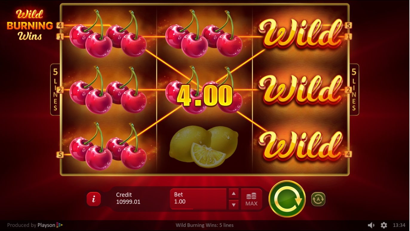 Playson Wild Burning Wins Slot Main Screen