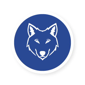 Wild Symbols