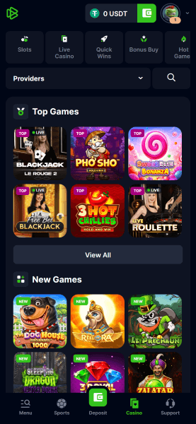 page d'accueil du casino bets.io
