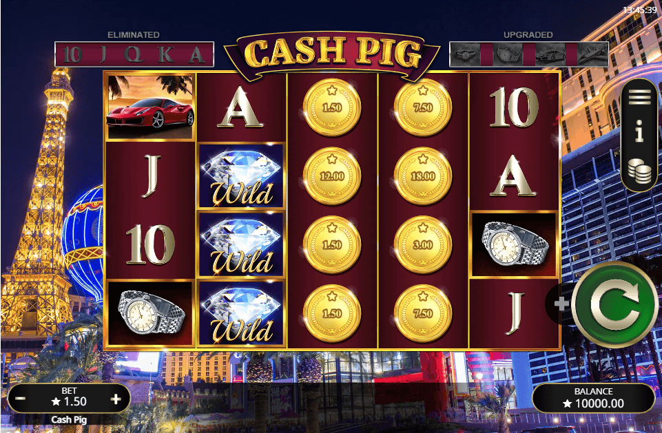 cash pig reels