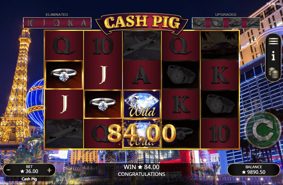 cash pig win