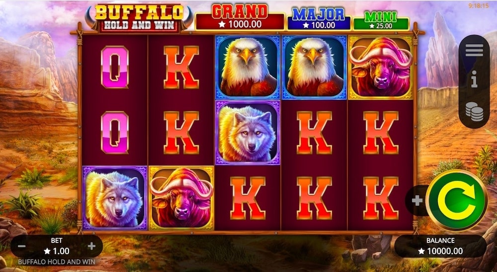 Buffalo Hold and Win Slot Game