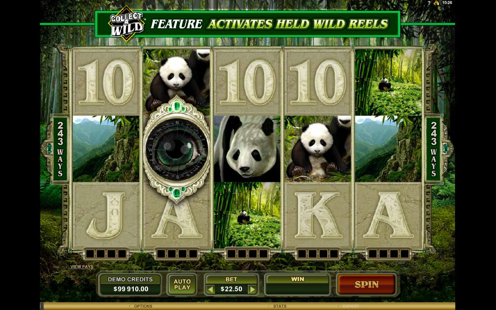 Microgaming Untamed Giant Panda Slot Reels