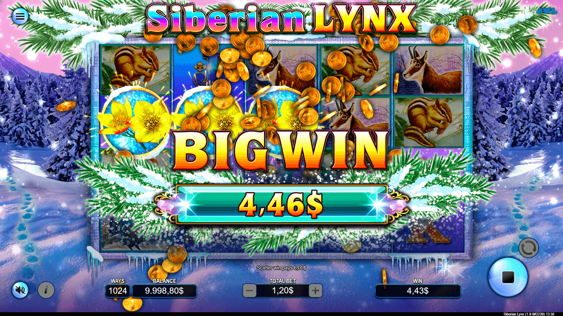siberian lynx big win