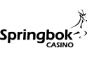 springbok casino logo