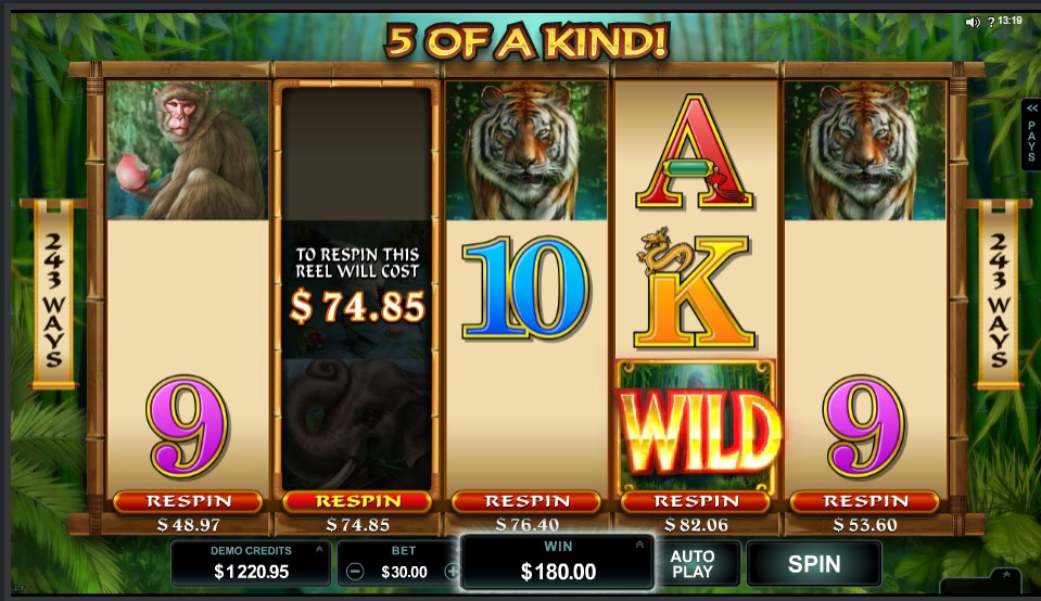Microgaming Wild Orient online slot gameplay